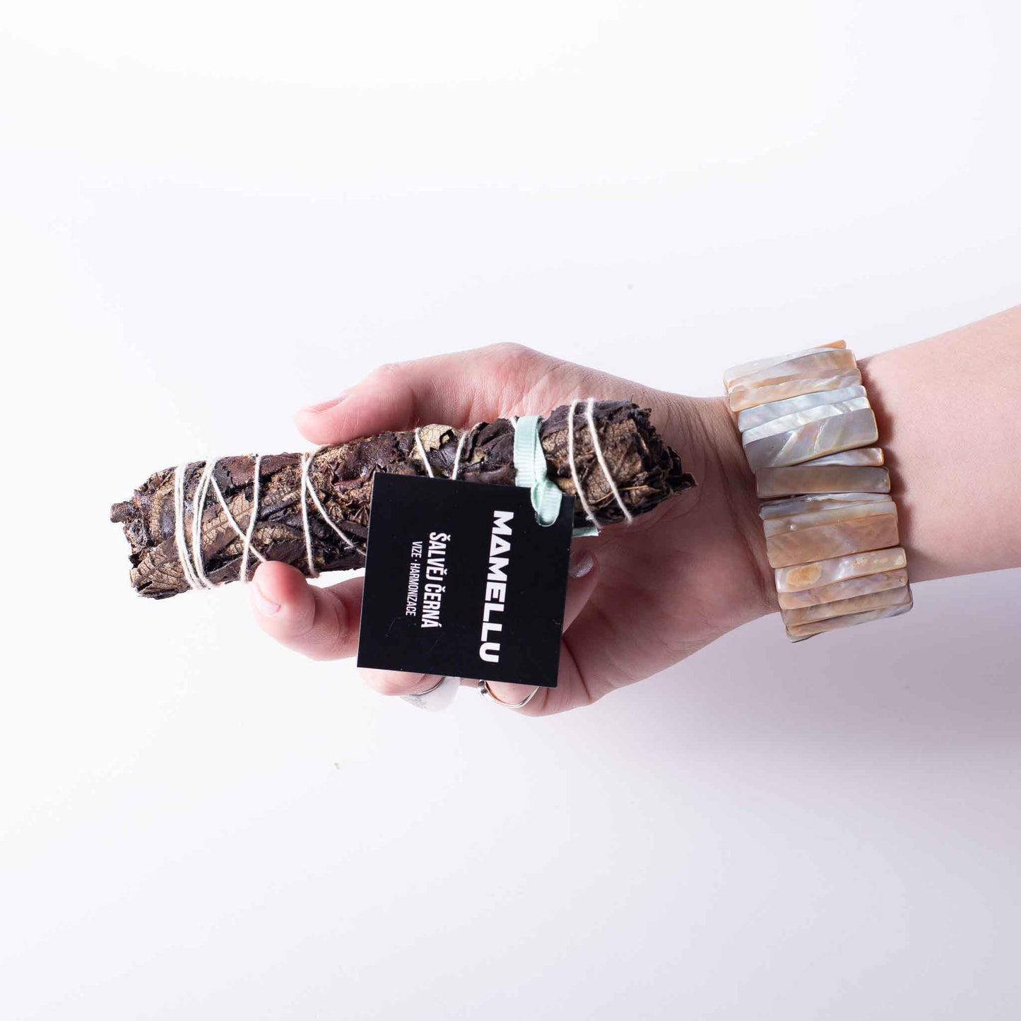 Černá šalvěj 15 cm