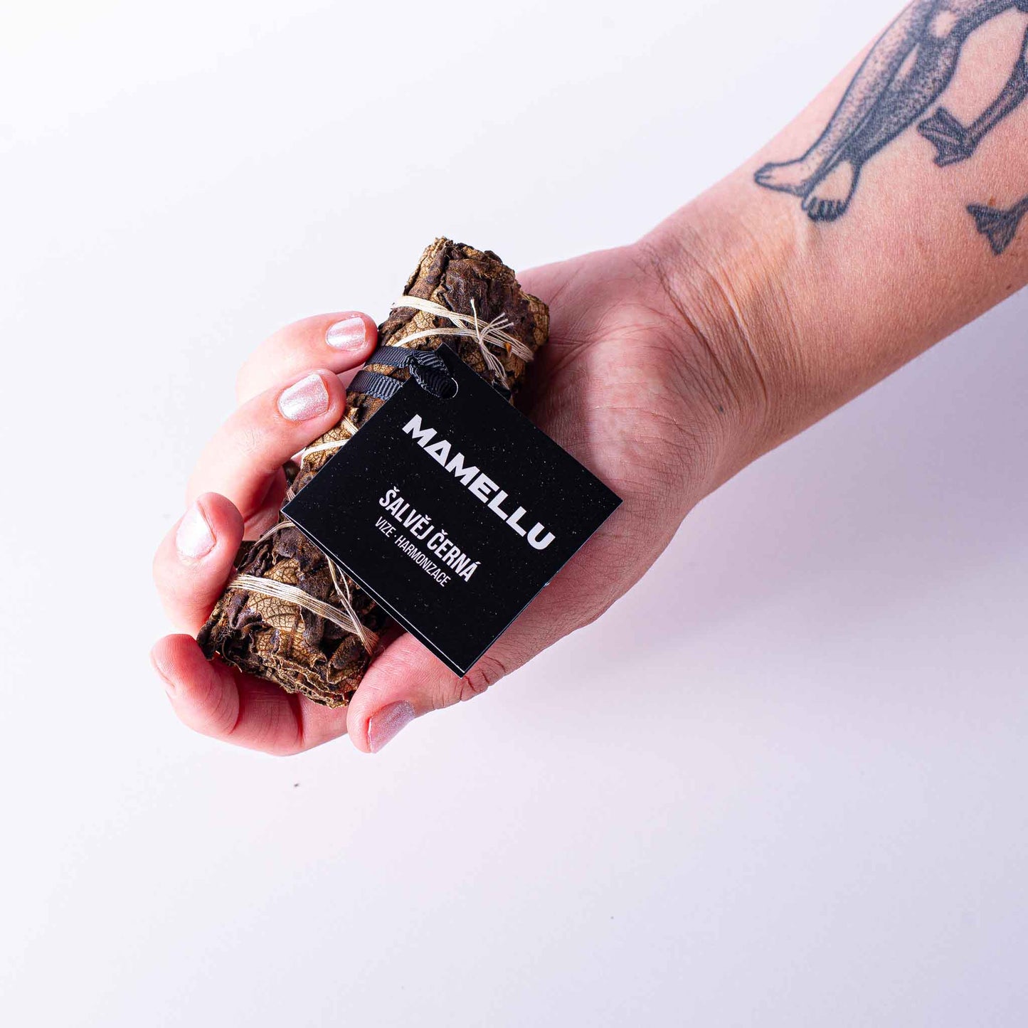 Černá šalvěj 10 cm