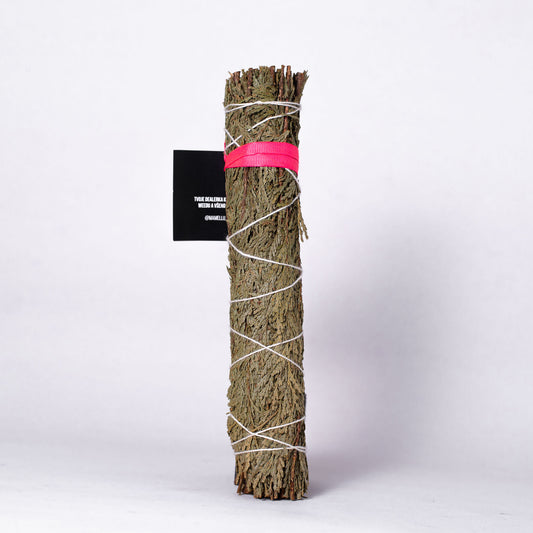 Cedr Maxi 20 cm